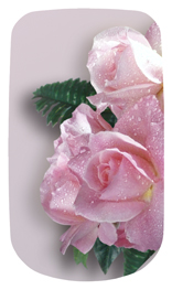 DAROYAL-063 Bouquet Of Roses Orchid